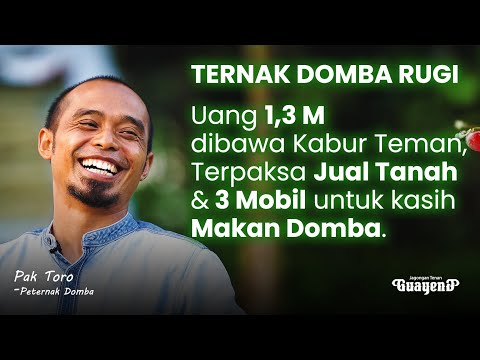 Dapat Pesanan 3.000++ Menjelang Idul Adha, 17 Tahun Survive Ternak Domba!