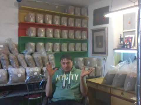 ВЕШЕНКА Почему сохнут примордии? Ошибки при изготовлении блоков