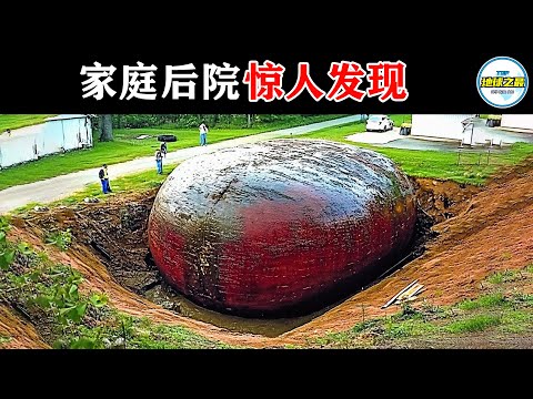 夫妻后院发现神秘巨蛋，专家查看后目瞪口呆！从天而降的惊人财富、沉睡亿年的远古巨兽…20个后院发现的惊人事物丨地球之最#冷知识 #排名 #世界之最#最惊人的#惊人发现#宝藏#top20#top10