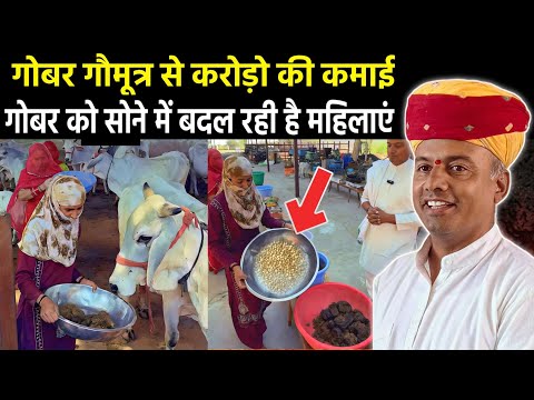 मिट्टी को बनाया सोना 👉 अब गोबर गौमूत्र से भी लाखो की कमाई होगी। Must Watch