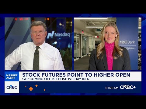 Expect 3 rate cuts from the Fed this year, says Wilmington Trust's Meghan Shue