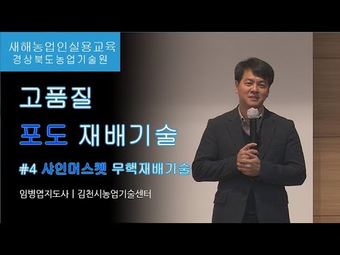 포도교육4고품질 포도재배기술(4편) - 샤인머스켓 무핵재배기술