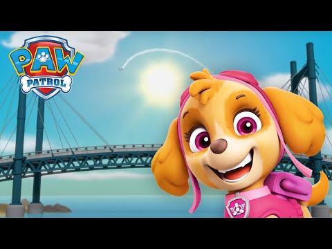 Skye Rescues a Flying Robo-Toy! - PAW Patrol Episode - Cartoons for Kids