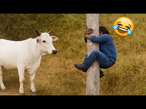 TRY NOT TO LAUGH 😂 Best Funny Moments 😆😅 | Memes PART 2