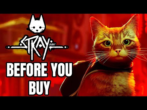 STRAY - 12 Things You NEED TO KNOW Before You Buy