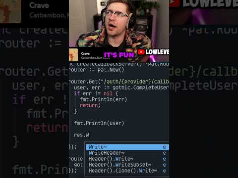 Why Is Everyone Coding in Go?