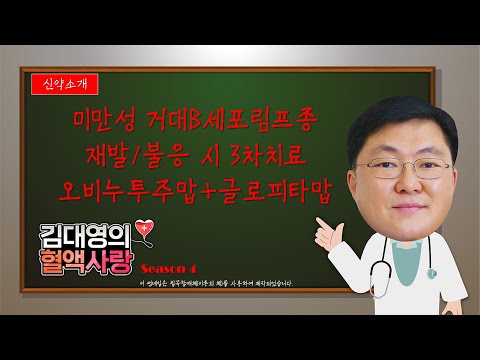 [김대영의 혈액사랑] 재발/불응성 미만성거대B세포림프종에서 오비누투주맙+글로피타맙 요법