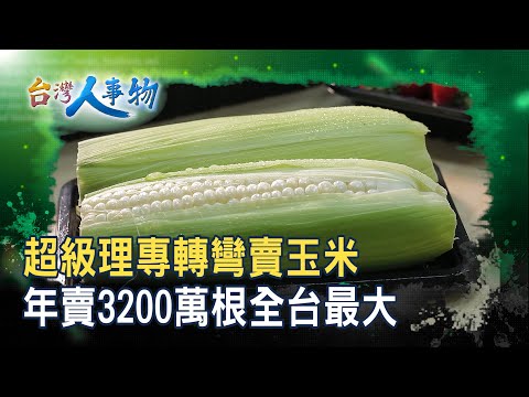 年賣兩億“水果玉米”女王｜鮮綠農業科技股份有限公司｜【台灣人事物】2025.12.13