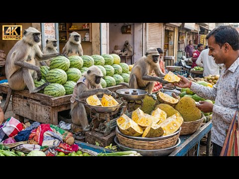 बंदरों ने मिलकर खोली सब्ज़ी की दुकान | Monkeys Opened a Vegetable Shop Together