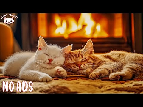 Music Sleep For Cat 🐈 Soothing Sound for Deep Sleep, Anxiety Relief & Relaxation