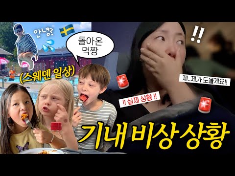 돌아온 스웨덴 일상🇸🇪 비행기 응급 상황🚨 갑자기 통역사가 되었어요;; 우리동네 먹짱의 깜짝 방문✨ 찬란한 스웨덴의 여름
