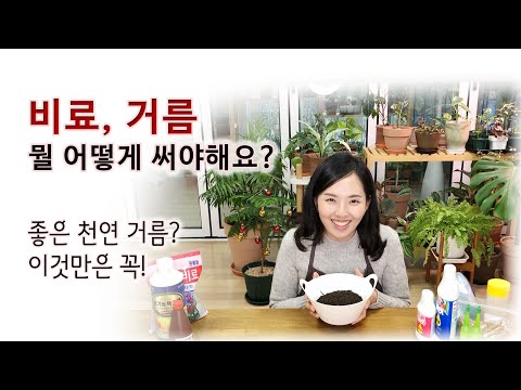 Fertilizers and Manure - When and How to Use Them?