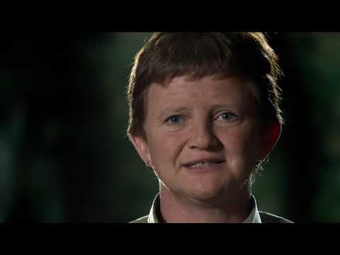 Hippo Attack Throws Family Into Crocodile Waters