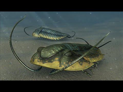 【鬼谷说】三叶虫 Trilobita：一个平凡家族的不屈与彷徨！