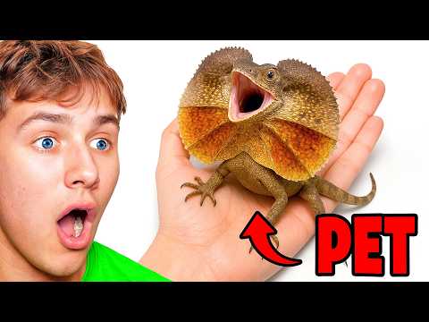 He Adopted A Pet Dinosaur!