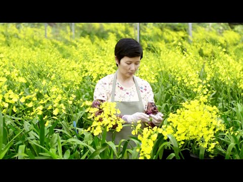 被多次推荐的台湾暖心佳作，真诚不做作实在难得，怪不得刚上映就好评如潮！【光影】