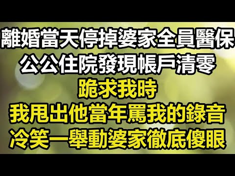 26離婚證到手一分鐘，我秒刪婆婆「3國10年簽證」，她剛到歐洲享受豪華遊，海關一句話讓婆婆當場傻眼！