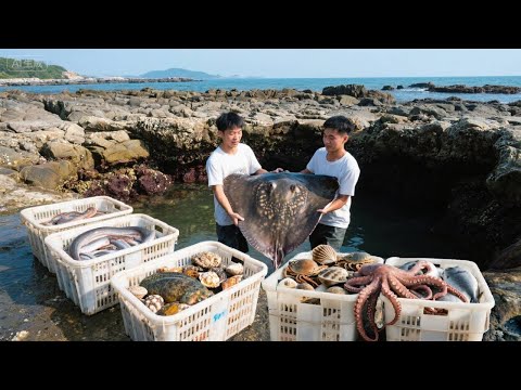 华哥豪掷万元包坑，200斤花仙鱼打窝下料盘坑，【阿甘阿甘大海抽干】
