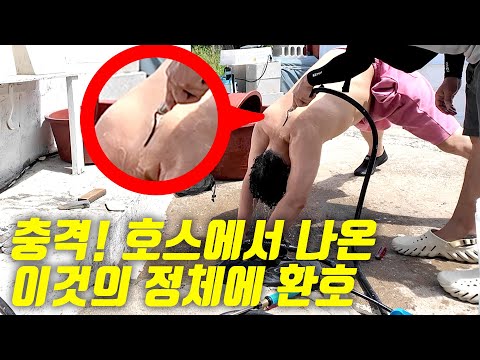 [오지:객52-황제도] 찍혀버렸습니다! 등목 촬영 하다가 발견한 충격적인 이것의 실체에 모두... 환호