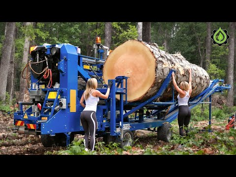 Fastest Biggest Firewood Processing Machine | Dangerous Big Chainsaw Cutting Tree machines #26