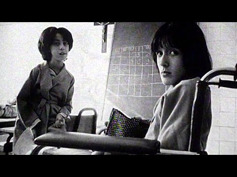 The Mystery Behind Spain's Deadly Cooking Oil Disaster