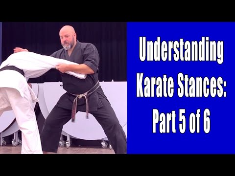 Understanding Karate Stances: Part 5 of 6