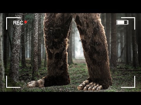 FINDING BIGFOOT 2.0!! (Finding Bigfoot Game)