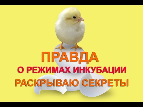 ВСЯ ПРАВДА ОБ ИНКУБАЦИОННОМ РЕЖИМЕ | 100% ВЫВОД | секреты инкубации