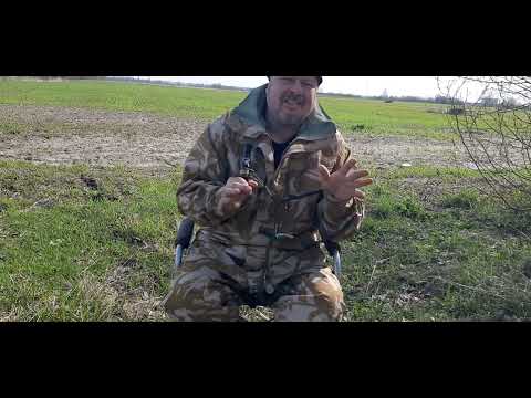 Как манить гуся гуменник