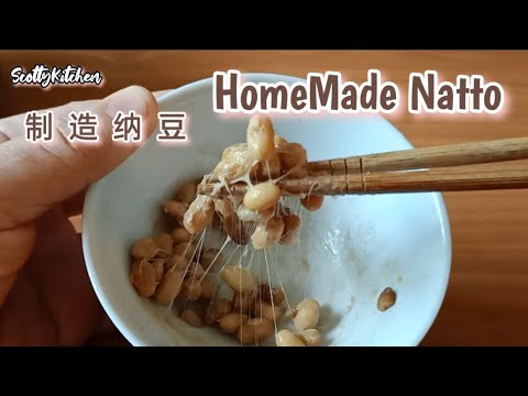 Homemade NATTO 制造纳豆