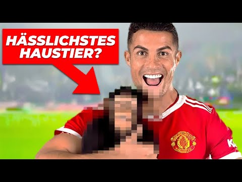 Die VERRÜCKTESTEN Haustiere von Fußballern!