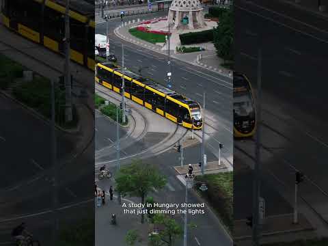 Why this German autobahn went dark