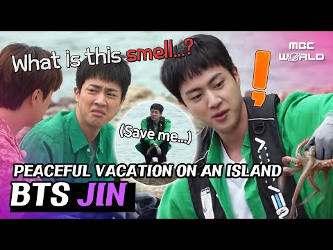 [ENG/JPN] BTS JIN came to an uninhabited island to relax but ended up abandoned alone?! #BTS #JIN