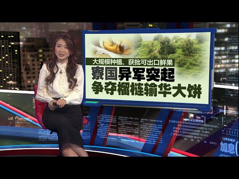 泰越马菲陷榴梿竞争   寮国异军突起争夺输华大饼 | 新闻报报看 23/12/2025