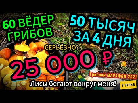 ПОЕЗДКА за ГРИБАМИ! 60 ВЁДЕР ГРИБОВ ЗА 2 ДНЯ!  ПРОДАЛ НА 50 ТЫСЯЧ! СКАЗОЧНЫЙ ЛЕС! 3 серия МАРАФОНА!