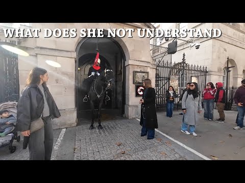 HORSE GUARDS Soldier almost gets bitten & Tourists step in box #horse #horselove #horseguardsparade