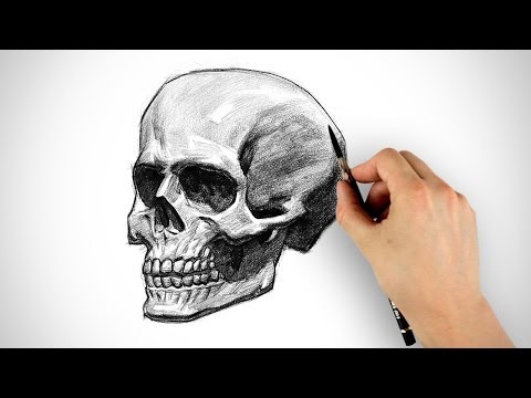 Draw a Skull - Halloween Special