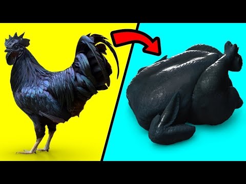 When Amazing Creatures Broke Evolution!