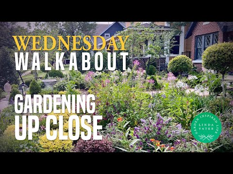 Gardening Up Close and Personal