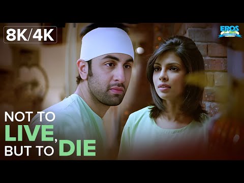 рд╕рдм рдЬреАрдиреЗ рдХреЗ рд▓рд┐рдП рдХрд░рддреЗ рд╣реИрдВ, рд╣рдо рдорд░рдиреЗ рдХреЗ рд▓рд┐рдП рдХрд░реЗрдВрдЧреЗ - Anjaana Anjaani | Ranbir K |Priyanka C |8K/4K Scene