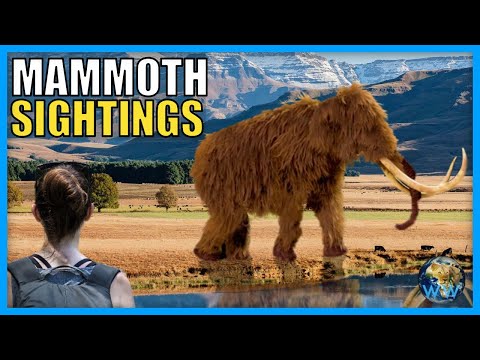 Are Mammoths Still Alive?