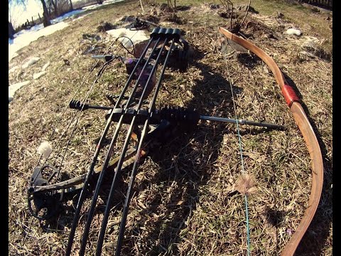 Традиционный лук vs блочный лук