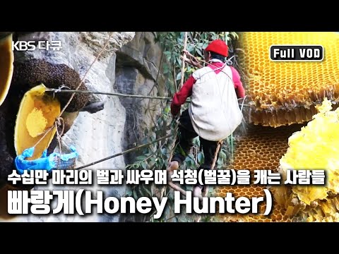 해발 4,000m 기암절벽에서 🍯석청을 채취하는 사람들 |  히말라야 꿀 사냥꾼 '빠랑게’ (KBS 20110107 방송)