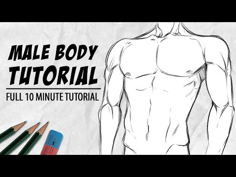 How to draw Bodies (Tutorial) | Drawlikeasir