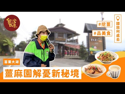 【國旅何處去】[苗栗大湖] 薑麻園解憂新秘境 挖薑 品美食 享自然_台灣百味3.0 280《雲也居一休閒農場》、《苗栗縣薑麻園發展協會》