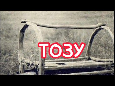 Тозу (1931 жыл) Момбек ӘБДӘКІМҰЛЫ