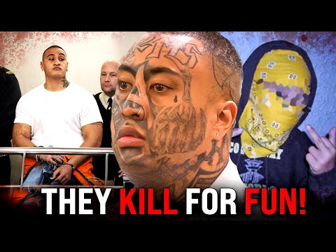 SKULL FINGERS UP: The Rise, Fall, and Endless War of the Killer Beez