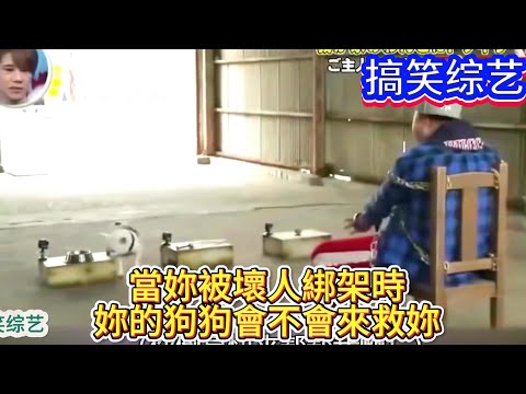 搞笑綜藝：當妳被壞人綁架時，妳的狗狗會不會來救妳？#綜藝 #綜藝搞笑 #搞笑 #鐜蠱 #熱閂 #推薦