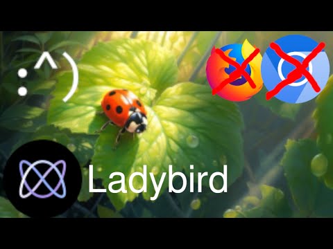 There's a new browser in town