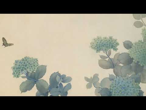 ART FOR YOU TV SCREENSAVER - HYDRANGEAS - 8 HOURS LONG - NO MUSIC